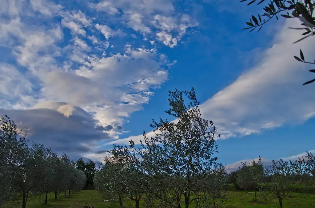Agriturismo Tenuta Il Vallone Villa Monsummano Terme 0*,  Italië